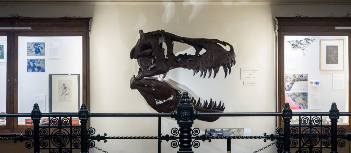 Museo Geominero del Instituto Geológico y Minero de España (IGME)