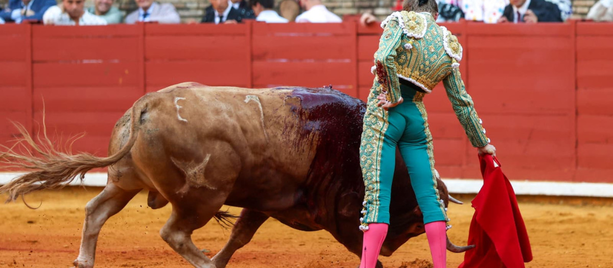Borja Jiménez