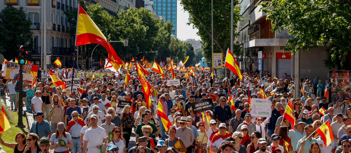 Vista general de la «Marcha por la Dignidad» para pedir la dimisión del presidente del Gobierno, Pedro Sánchez convocada por la plataforma Sociedad Civil Española