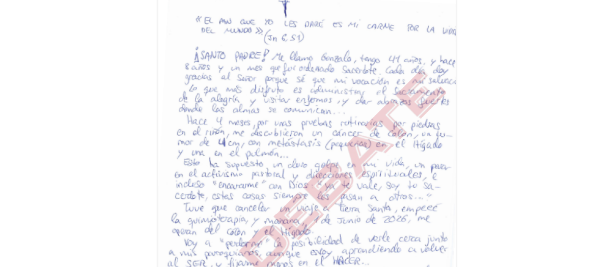 Carta de Gonzalo Arroyo al Papa