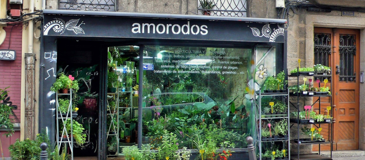 Floristería desde la que operaban