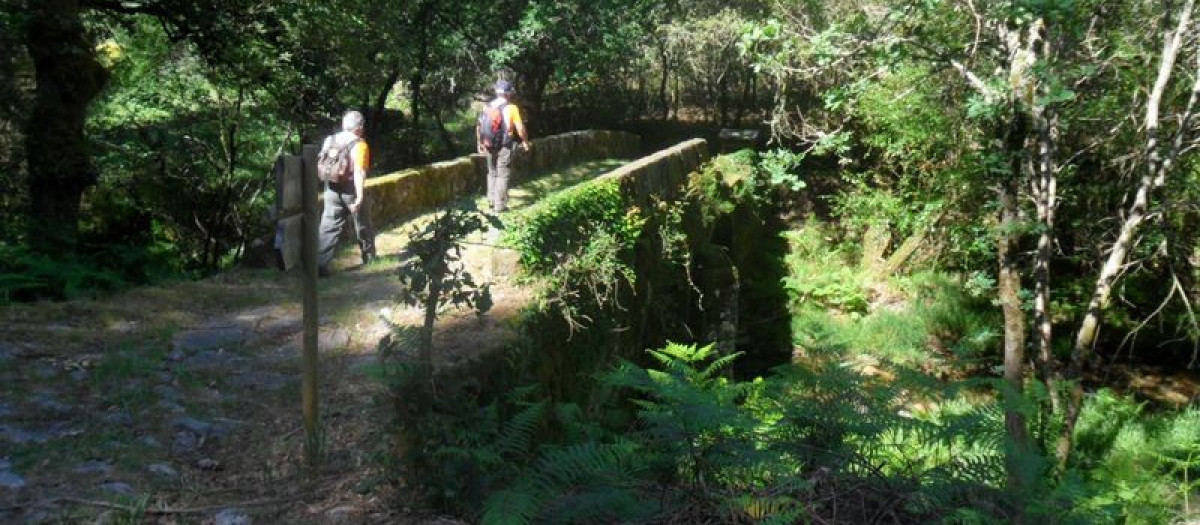 La ruta más original de Galicia vuelve cada verano: un paseo entre espantapájaros gigantes, molinos y un río de aguas cristalinas