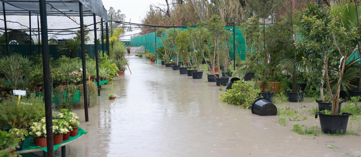 Un invernadero inundado tras el desbordamiento del río Guadalete a su paso por Jerez de la Frontera, en febrero (archivo)