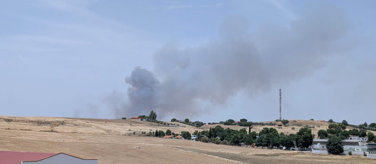 Incendio forestal en la aldea de La Coronada (Fuente Obejuna)
