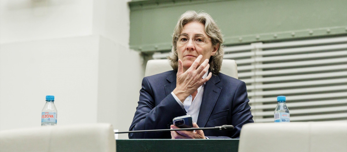 La concejala de Recupera Madrid en el grupo Mixto, Marta Higueras