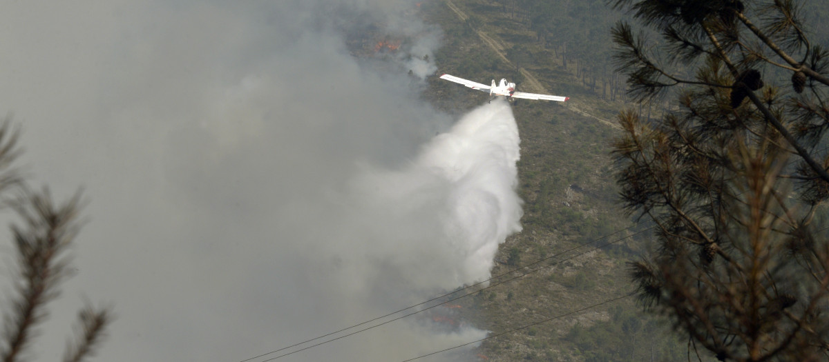 Galicia no registra incendios activos tras extinguirse el fuego de La Mezquita 

Rosa Veiga / Europa Press
14/6/2026