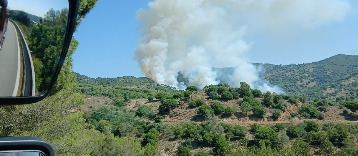 Incendio entre Tiana y Montgat (Barcelona)

REMITIDA / HANDOUT por BOMBERS DE LA GENERALITAT
Fotografía remitida a medios de comunicación exclusivamente para ilustrar la noticia a la que hace referencia la imagen, y citando la procedencia de la imagen en la firma
26/6/2026
