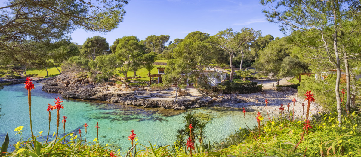 Cala Mitjana