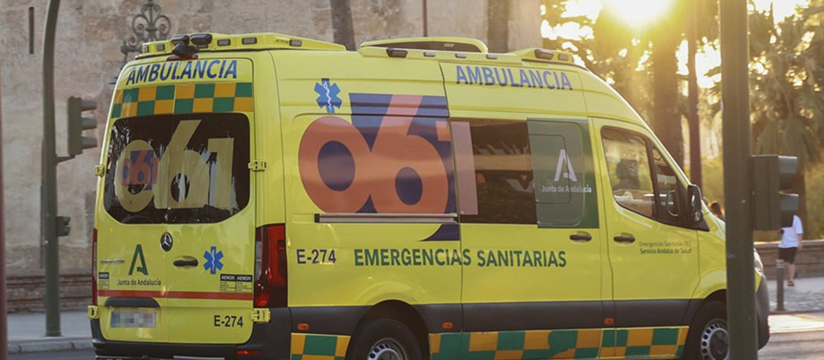 (Foto de ARCHIVO)
Vehículo de Emergencias Sanitarias (061) en el centro de Sevilla. A 1 de agosto de 2024, en Sevilla (Andalucía, España). Un vehículo de Emergencias Sanitarias (061) circula junto a la Torre del Oro, en el centro de Sevilla.

ROCÍO RUZ / EUROPA PRESS
01/8/2024