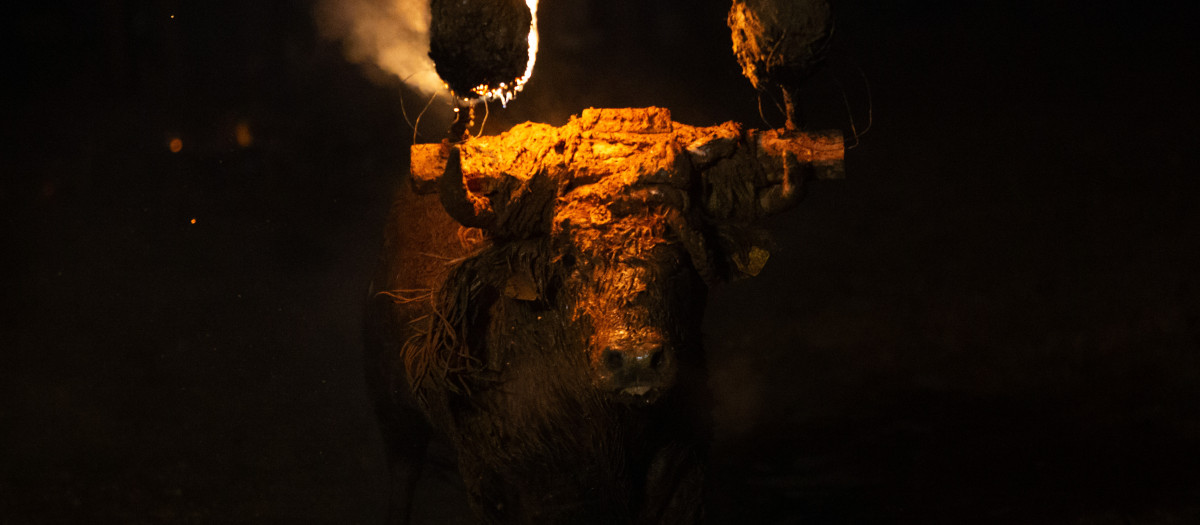 Celebración del Toro Jubilo en Medinaceli, Soria