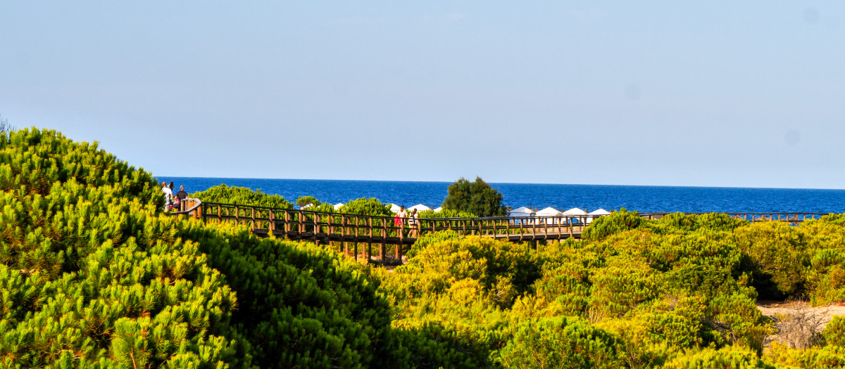 Playa de Carabassí