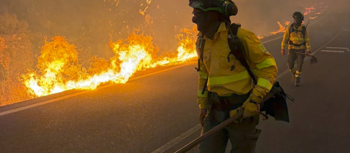 Efectivos desplegados en el incendio forestal de Los Gallardos