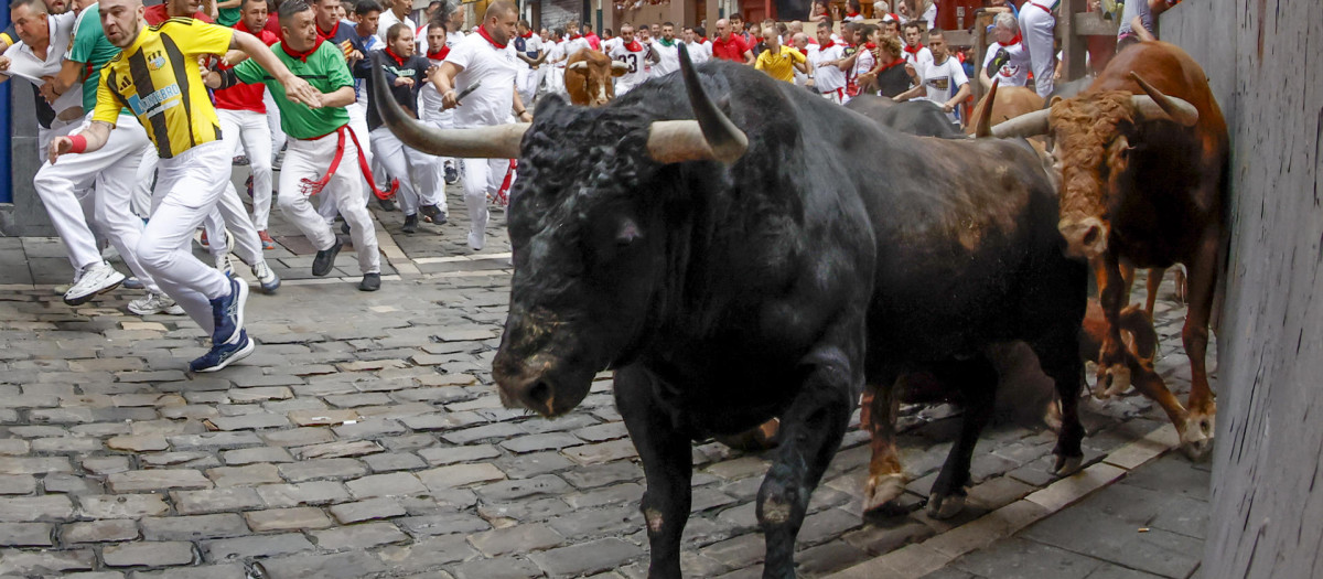 Los mozos son perseguidos por los toros de la ganadería de Álvaro Núñez en el tramo de Mercaderes durante el cuarto encierro de los Sanfermines 2026 este viernes en Pamplona.