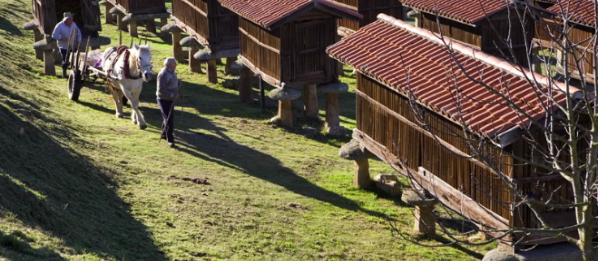 El mayor conjunto de Galicia está en este pueblo de Ourense