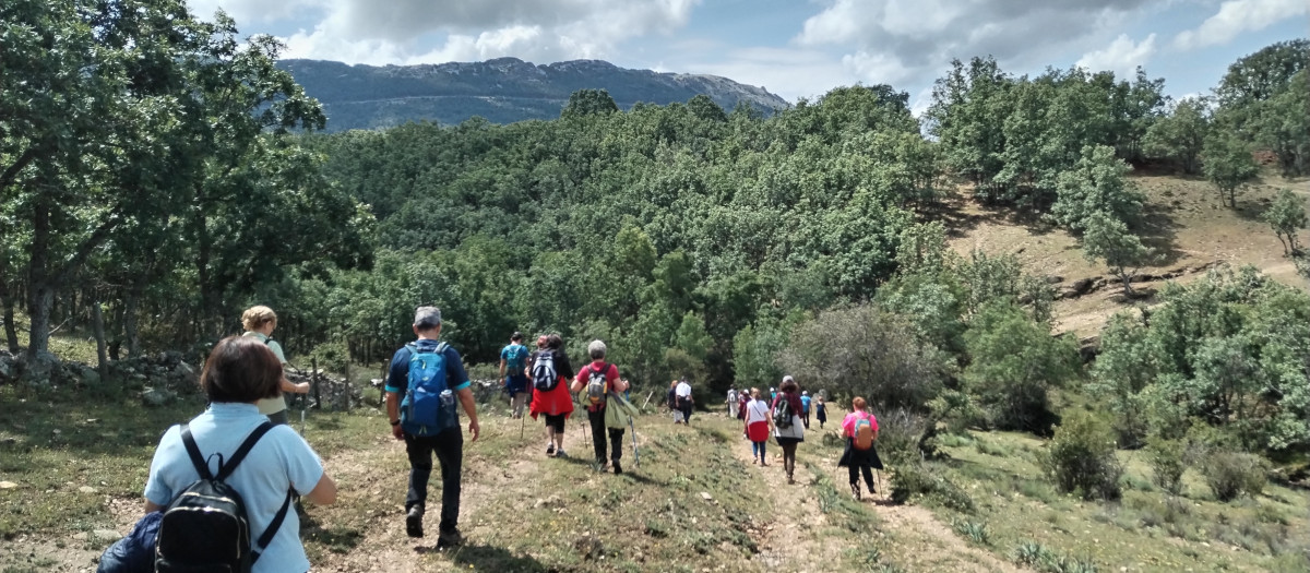 Carpetania ofrece muchos itinerarios ya diseñados, si bien el senderista puede trazar su propia ruta en función del tiempo que tiene, el nivel de dificultad o los recursos que quiere visitar