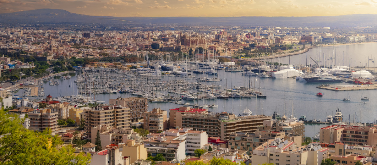 El pleito ha ocurrido en Palma