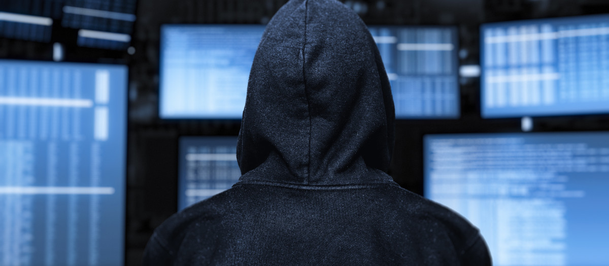 La ciberdelincuencia, al alza