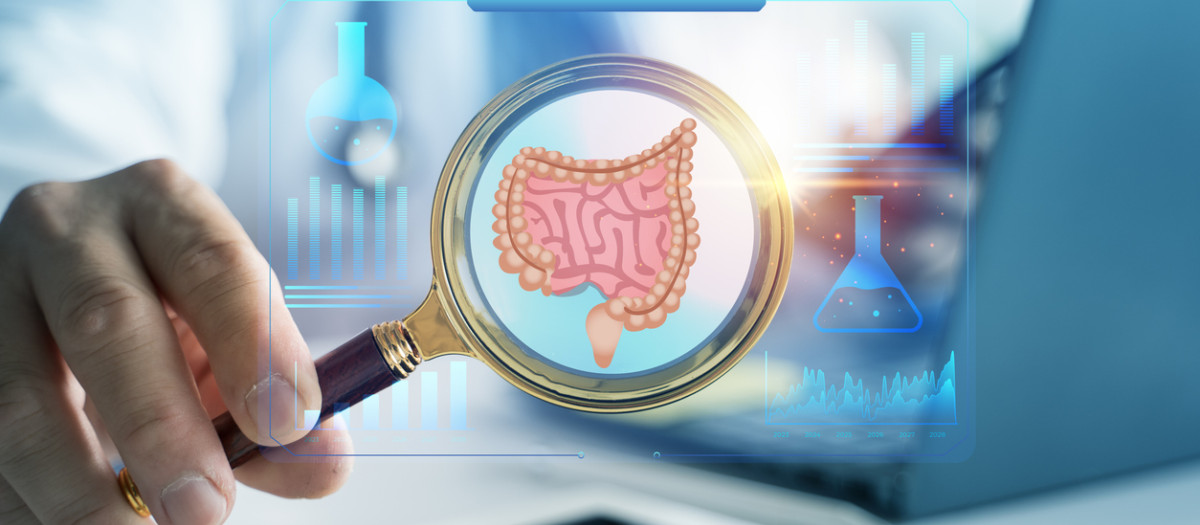 Las señales inmunitarias que aparecen hasta 10 años antes de la enfermedad inflamatoria intestinal