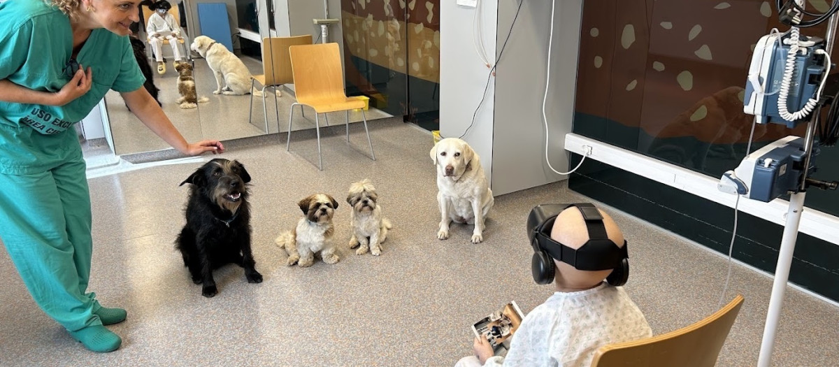 Los niños con cáncer de un hospital gallego reciben una nueva terapia con perros y realidad virtual