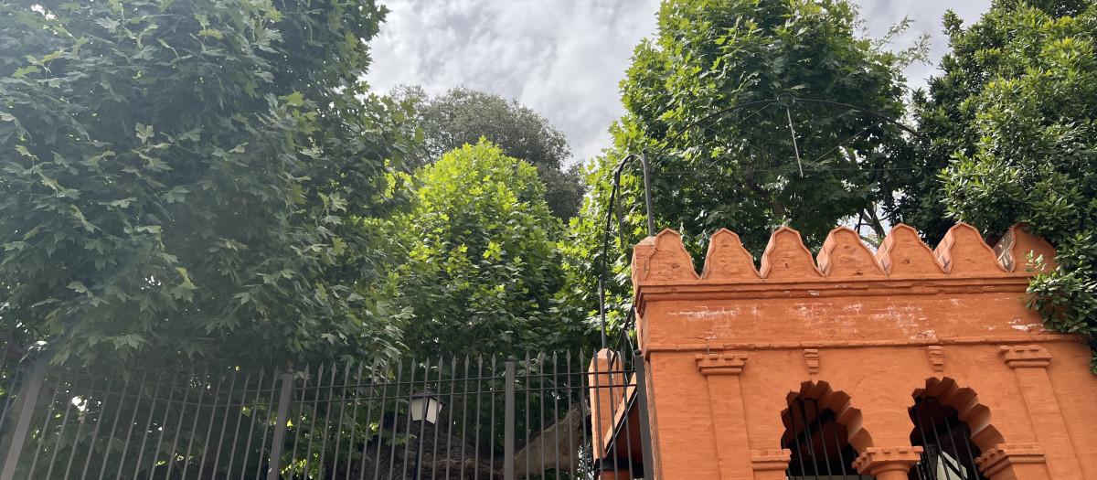 La vegetación donde Isabel la Católica se refugió