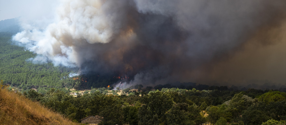 Una espesa columna de humo cerca de El Castañar de El Tiemblo