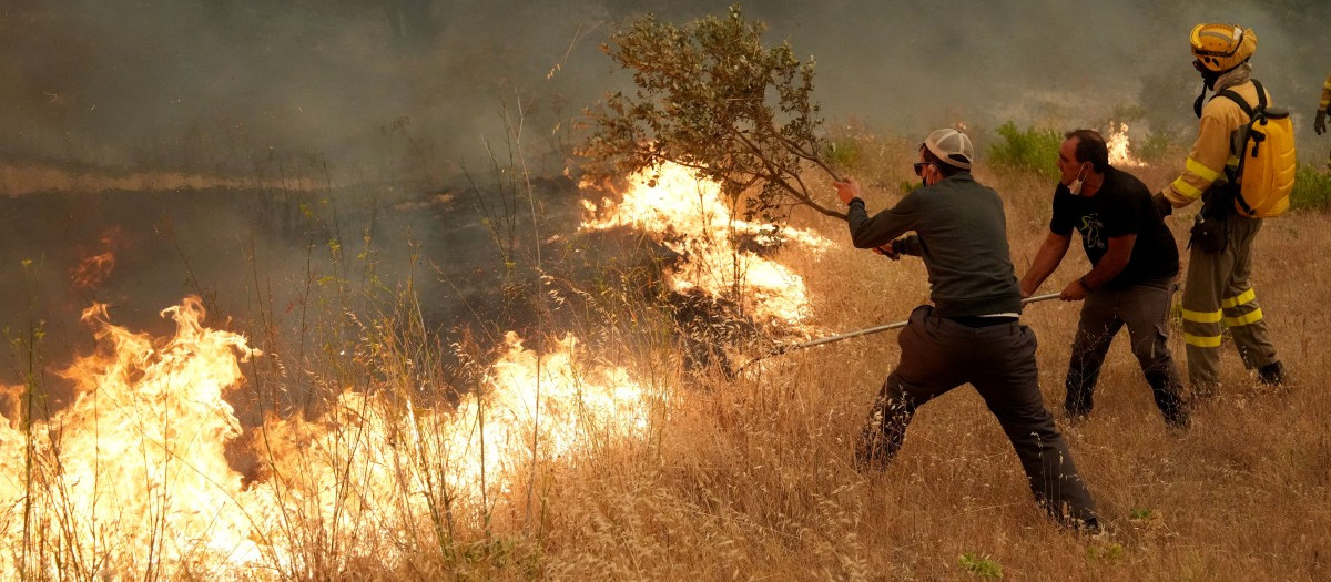Bomberos y ciudadanos, aplicándose en el incendio de Ávila a la altura de Cebreros, un fuego que, durante horas, corría el riesgo de fusionarse con el de Madrid.