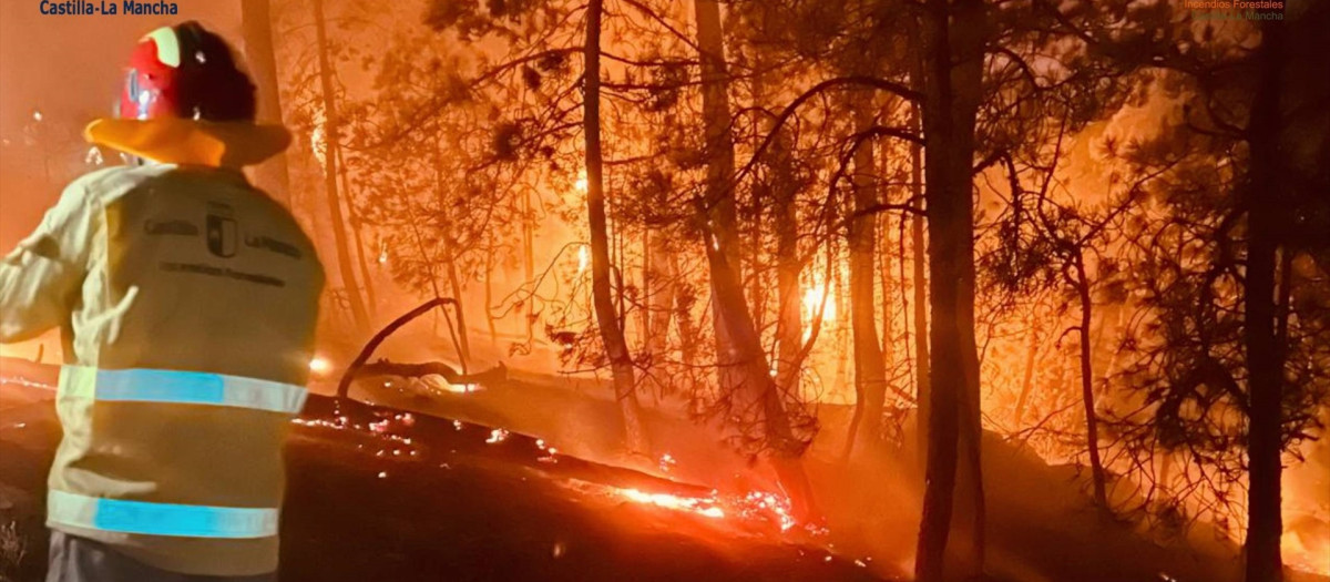 Bomberos del Infocam

REMITIDA / HANDOUT por INFOCAM
Fotografía remitida a medios de comunicación exclusivamente para ilustrar la noticia a la que hace referencia la imagen, y citando la procedencia de la imagen en la firma
25/7/2026