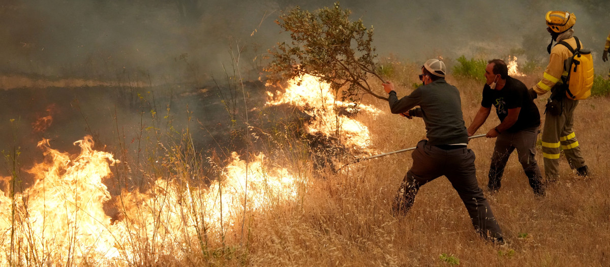 Los vecinos ayudan a los bomberos a combatir un incendio forestal en la zona de Cebreros, cerca de Ávila, a 80 km al oeste de Madrid, el 24 de julio de 2026.
España declaró el estado de emergencia nacional en la Comunidad de Madrid y en la provincia de Ávila, cerca de la capital, el 23 de julio de 2026, a raíz de varios incendios forestales que ardían sin control. Los científicos llevan mucho tiempo advirtiendo de que el cambio climático provocado por el uso humano de combustibles fósiles hará que los periodos de sequía sean más intensos y prolongados, creando las condiciones ideales para los incendios forestales.