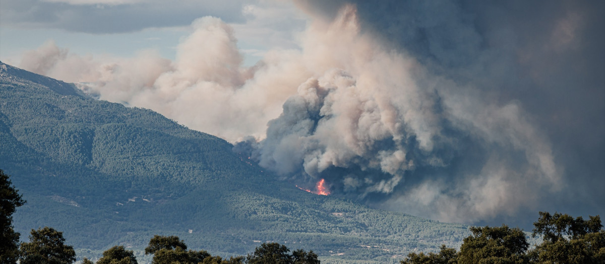 Vista del incendio desde el valle del Tiétar, a 25 de julio de 2026, en Ávila