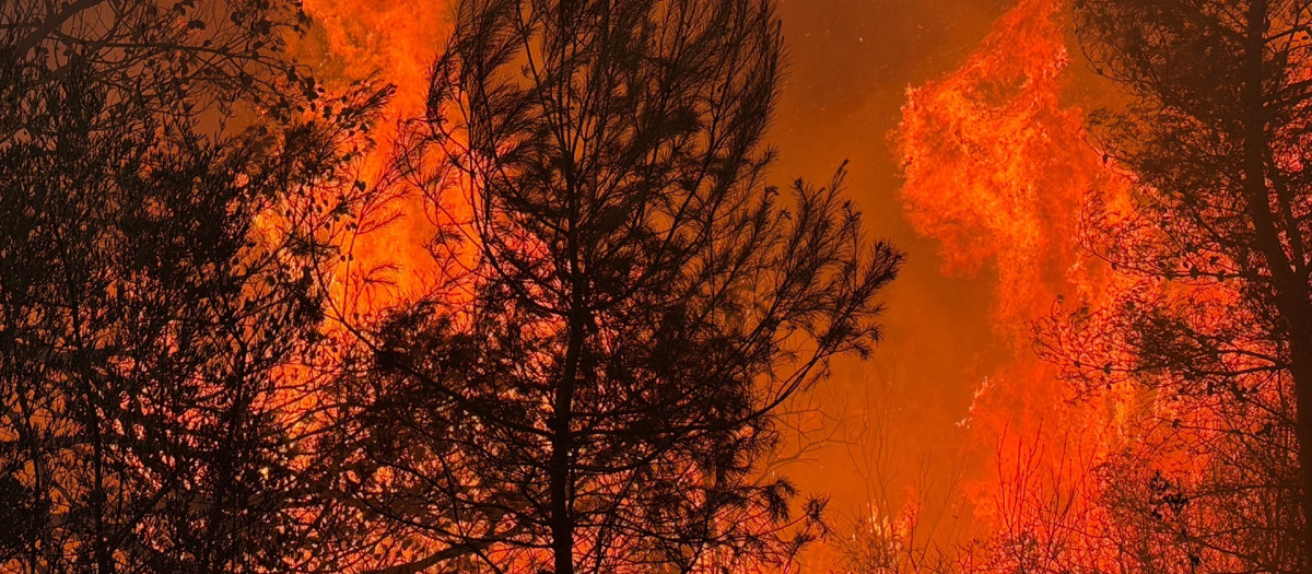 Incendio forestal declarado en la localidad castellonense de la Vall d'Uixó (CAstellón)