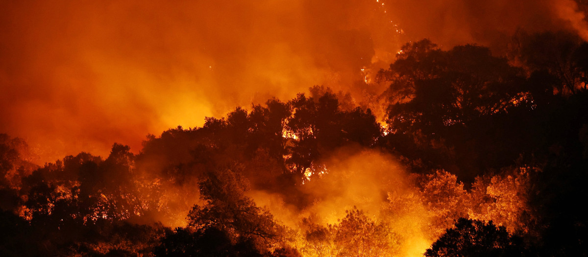 Incendio forestal en Santa María del Tiétar (Ávila)