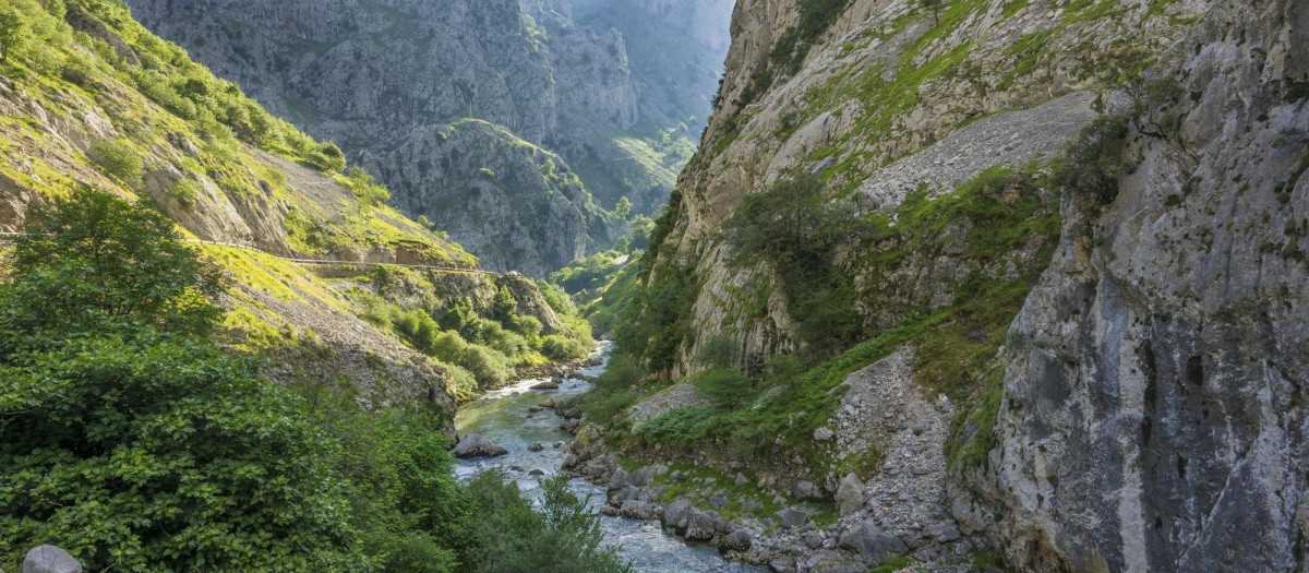 Montaña
