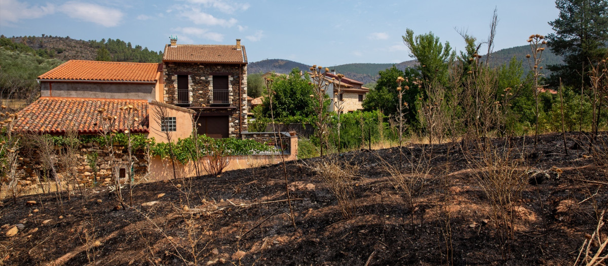 (Foto de ARCHIVO)
Terreno quemado por el incendio forestal, a 23 de julio de 2026, en La Mierla, Guadalajara, Castilla-La Mancha (España). Según fuentes del gobierno regional, el fuego de La Mierla, que cumple su primera semana activo y que ya ha calcinado unas 32.000 hectáreas, sigue en fase de estabilización y su evolución favorable podría derivar en la decisión de poder levantar los desalojos de algunos de los edificios evacuados.

Juanma Jiménez / Europa Press
23/7/2026