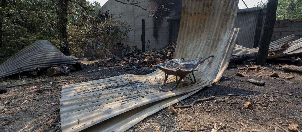 Restos del incendio forestal de Burgohondo (Ávila)
