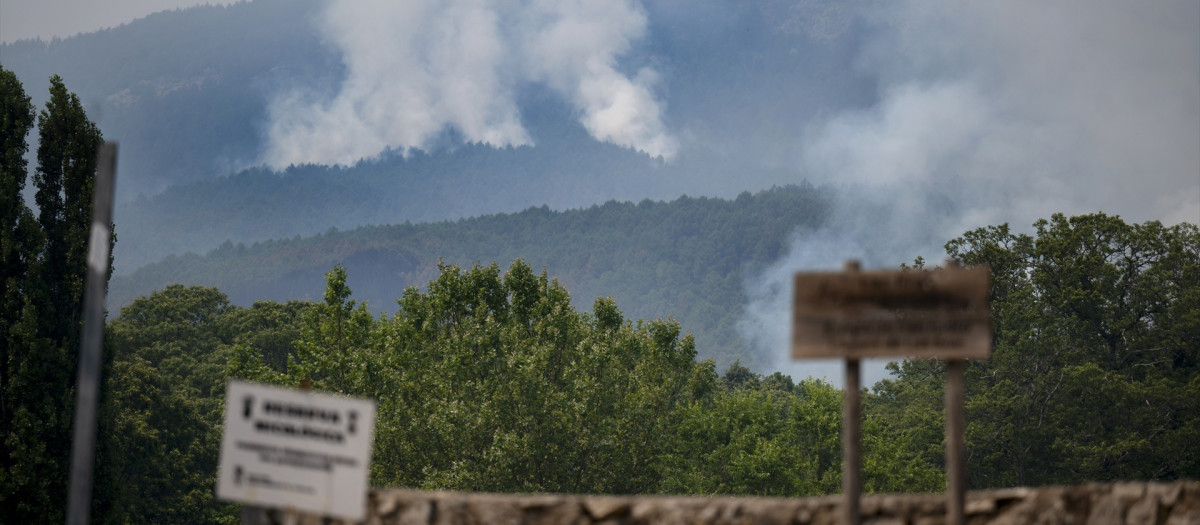 El incendio forestal de Burgohondo (Ávila) ha calcinado 55.000 hectáreas.