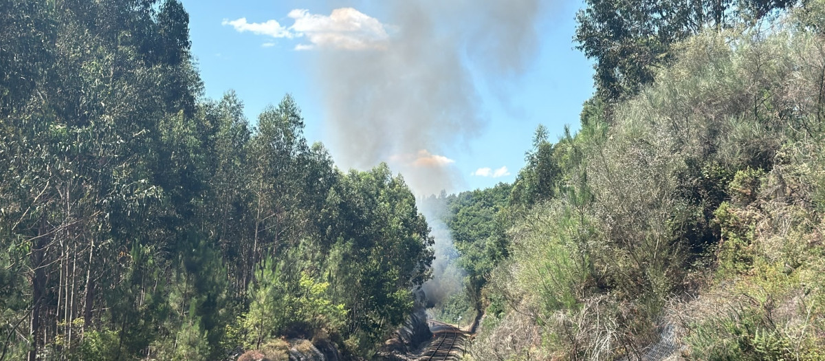 Incendio en Boborás

REMITIDA / HANDOUT por CONCELLO DE BOBORÁS
Fotografía remitida a medios de comunicación exclusivamente para ilustrar la noticia a la que hace referencia la imagen, y citando la procedencia de la imagen en la firma
27/7/2026