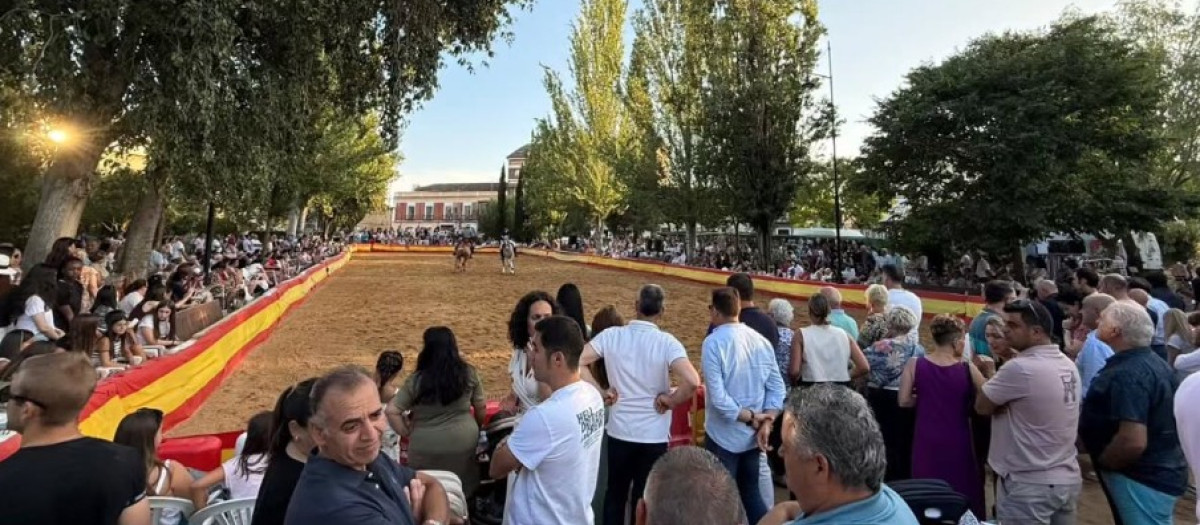 Feria del Caballo de Medina de Rioseco, en Valladolid