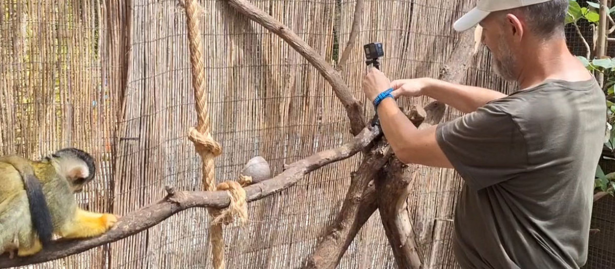 Instalación de cámaras en dl hábitat de los monos ardilla de Terra Natura Benidorm