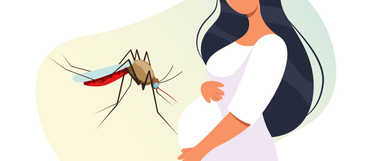 Repelentes de mosquitos durante el embarazo