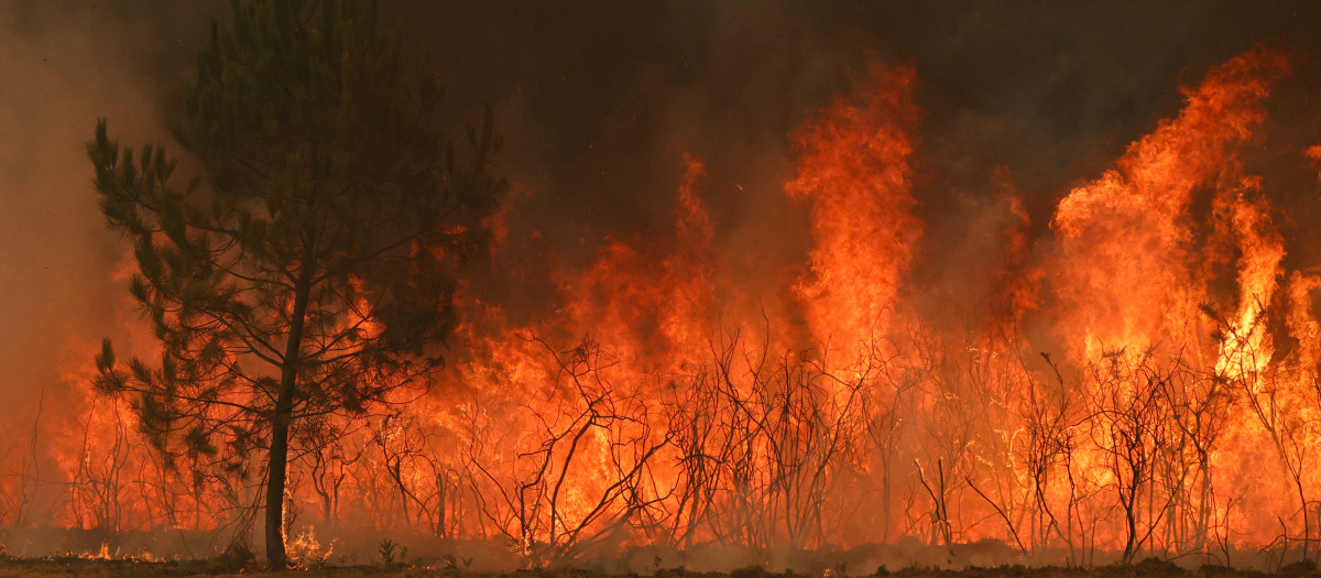 Zona boscosa envuelta en llamas en Marcheprime, al oeste de Burdeos