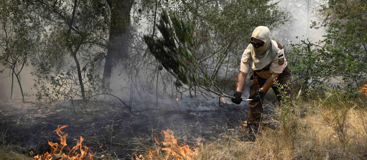 Imagen de las tareas de extinción del incendio de la Vall d'Uixó