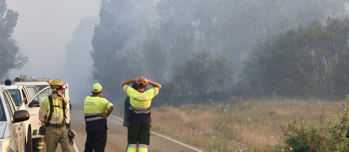 Incendio forestal de nivel 2 en La Utrera (León)