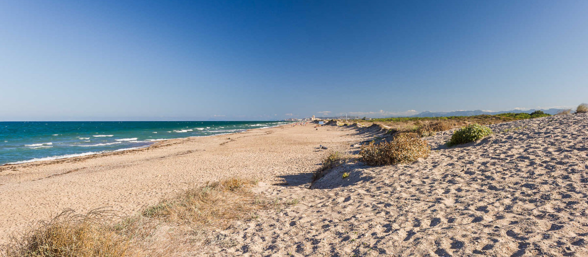 Imagen de la playa de La Devesa, Valencia