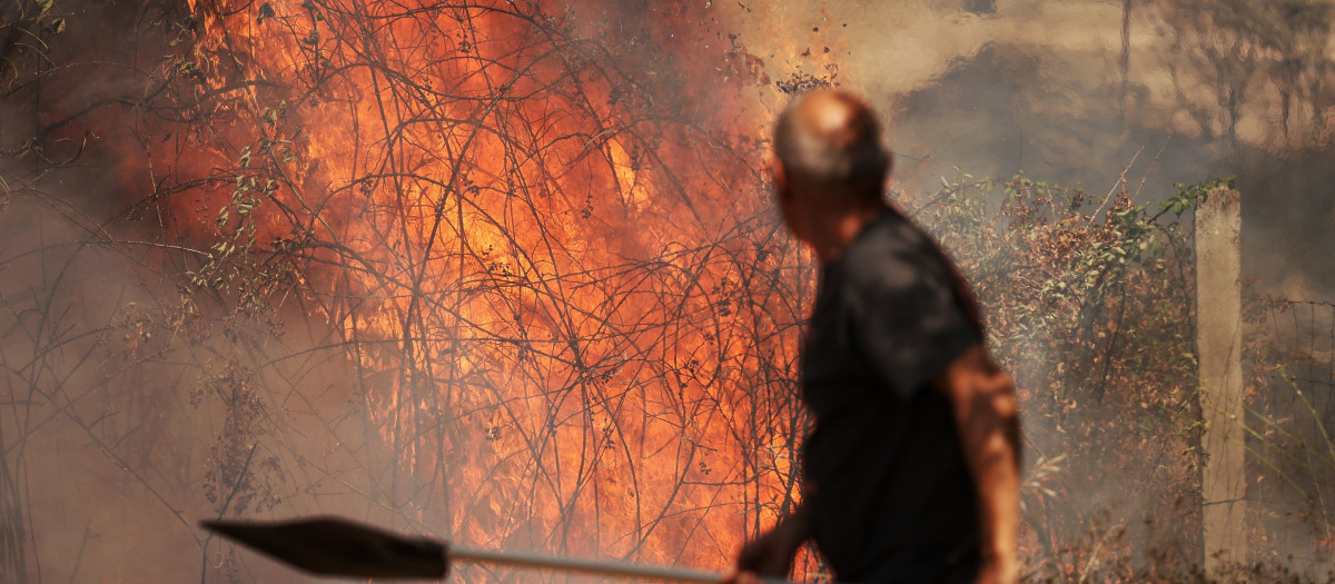 Incendio forestal en Fermoselle (Zamora)