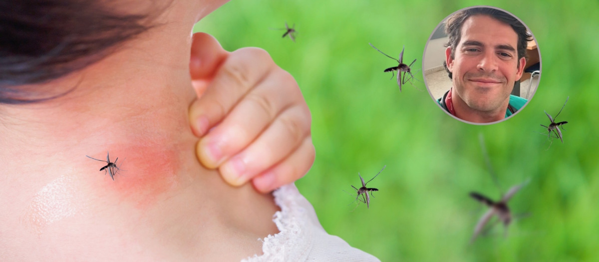El Dr. Rojas explica por qué pican los mosquitos