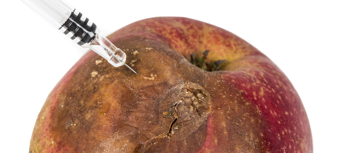 Identifican la fructosa como un factor en la propagación del cáncer