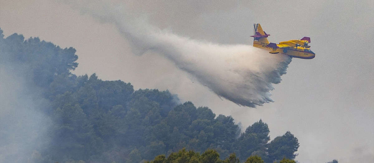 (Foto de ARCHIVO)
Un hidroavión trabaja en las tareas de extinción del incendio de la Vall d’Uixó, a 28 de julio de 2026, en Castellón, Comunidad Valenciana (España). El incendio declarado en al Vall d'Uixó (Castellón) no crece de manera significativa en número de hectáreas arrasadas o perímetro, pero preocupa el humo y la posibilidad de que una inversión térmica provoque que el fuego se reavive. Por eso, la ausencia de llama "da una falsa sensación" ante la cual no se puede "bajar la guardia".

Ángel Sánchez / Europa Press
28/7/2026