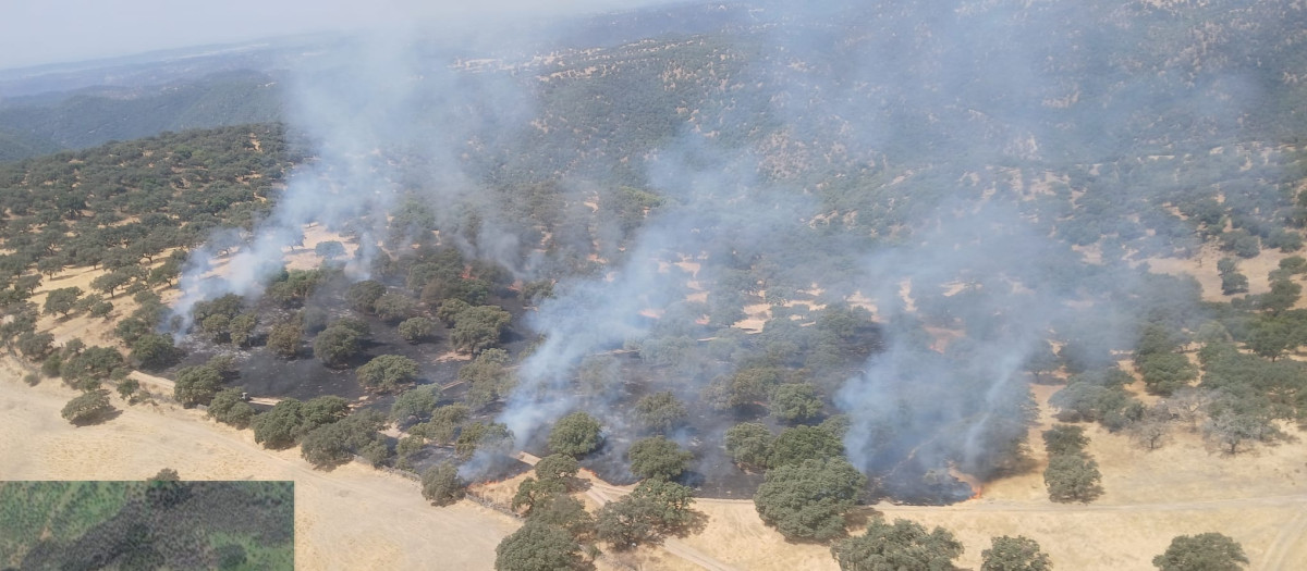 Imágenes del incendio en la finca Villalobillos