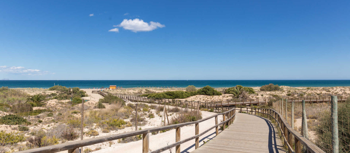 Imagen de la playa El Carabassí, Santa Pola, Bajo Vinalopó (Alicante)