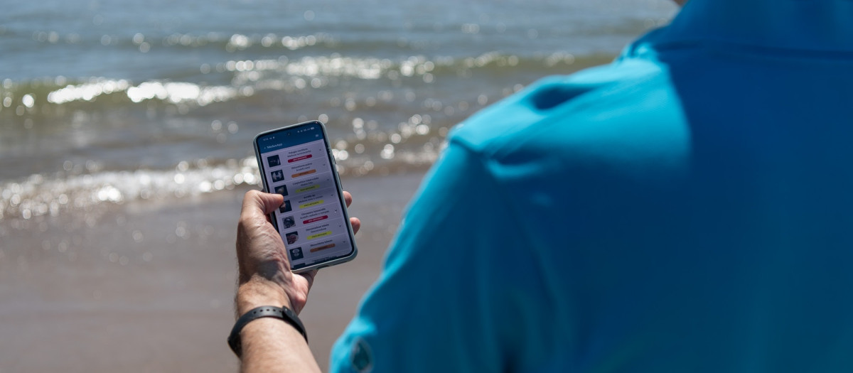 Imagen de archivo de un usuario utilizando la MedusaApp en la playa